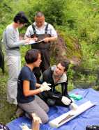 Range wide ecological surveys for the Chinese giant salamander (*Andrias* *davidianus*). World Congress of Herpetology, Tonglu.